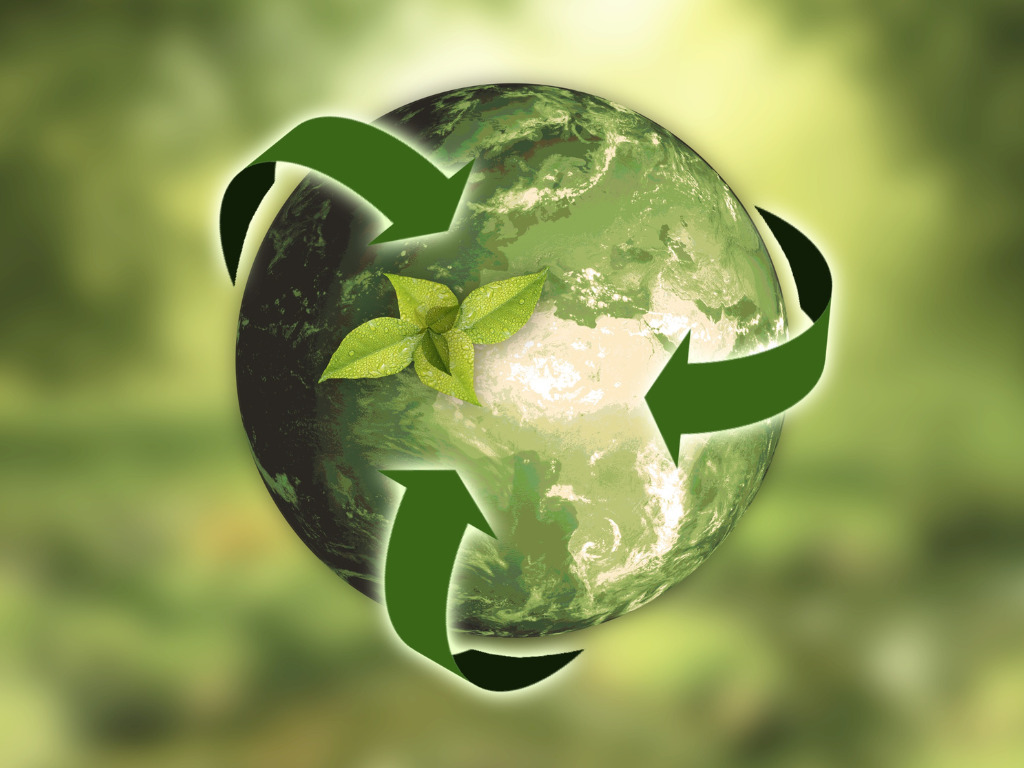 Environmental sustainability